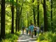 entspannung-im-wald-achtsamkeit-erleben-und-stress-loslassen-bei-der-vhs-wanderung